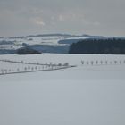 Allee im Schnee