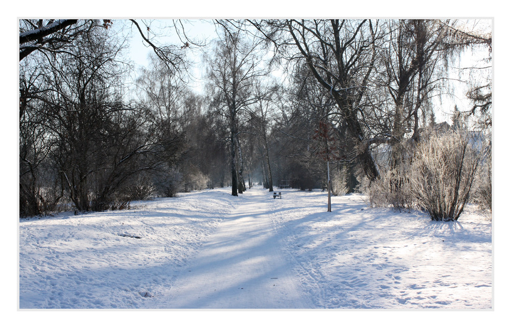 Allee im Schnee