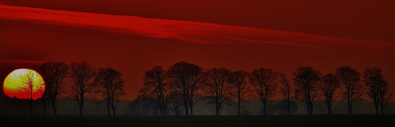 Allee im Sonnenaufgang