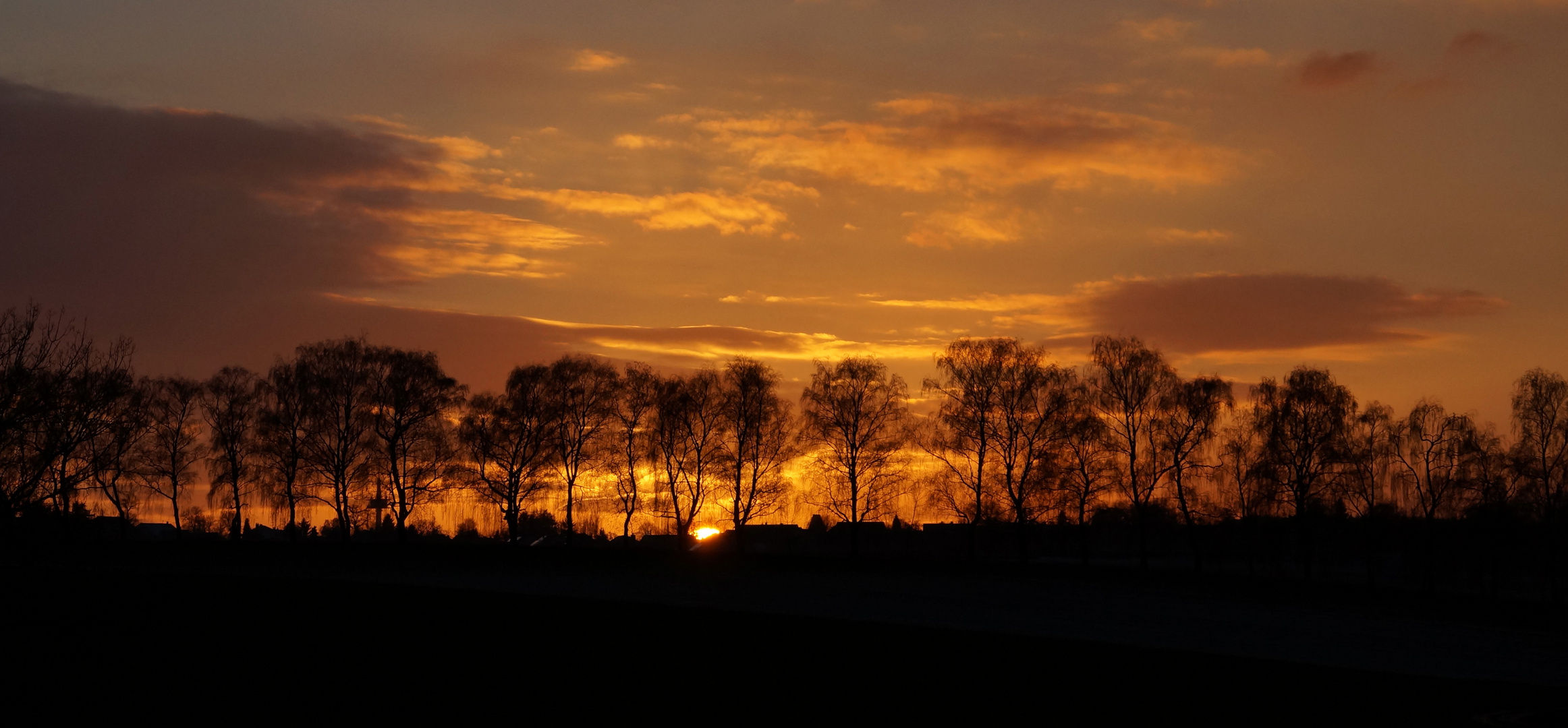 Allee im Sonnenuntergang