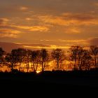 Allee im Sonnenuntergang