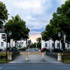 Allee im Sonnenuntergang