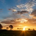 Allee im Sonnenunterungang