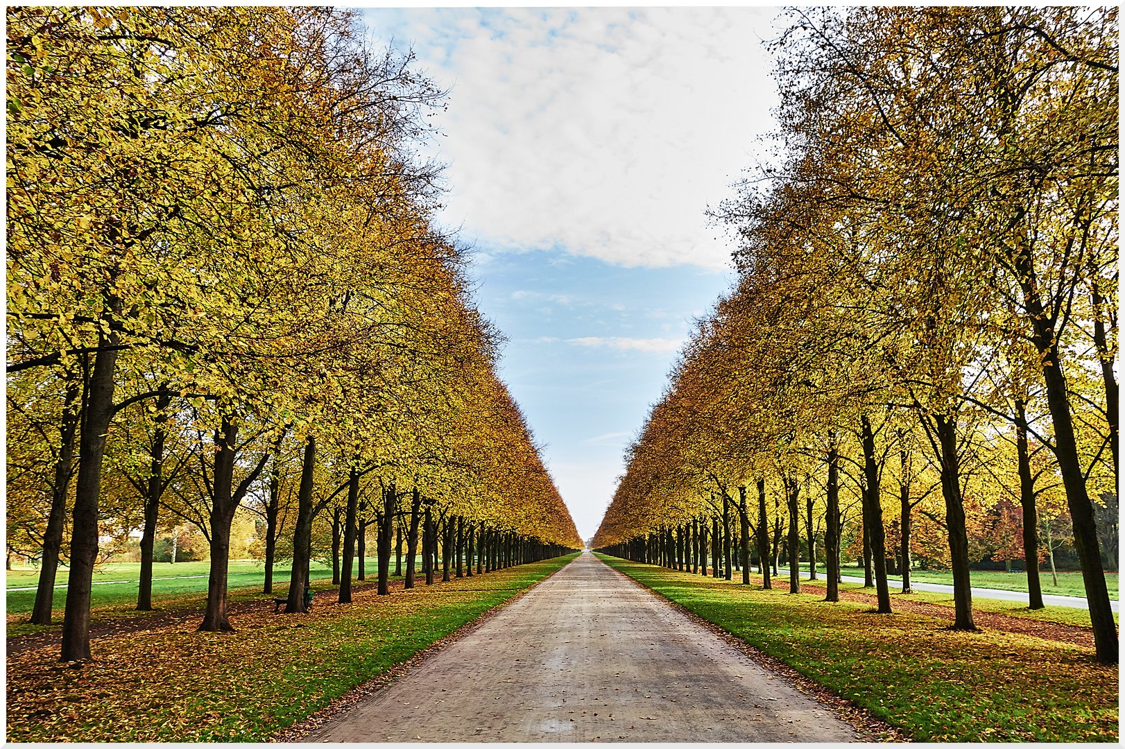 Allee im Spätherbst (neu)