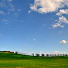 Allee im Val d’Orcia