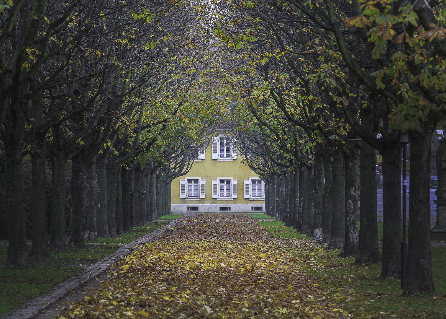 Allee in Bruchsal