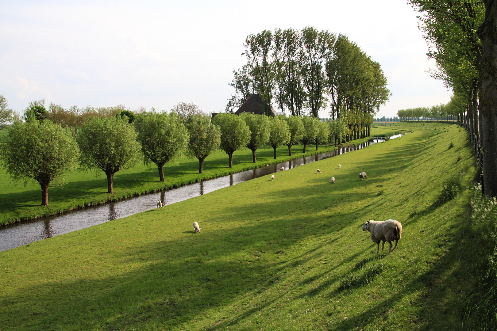 allee in couvorden_002