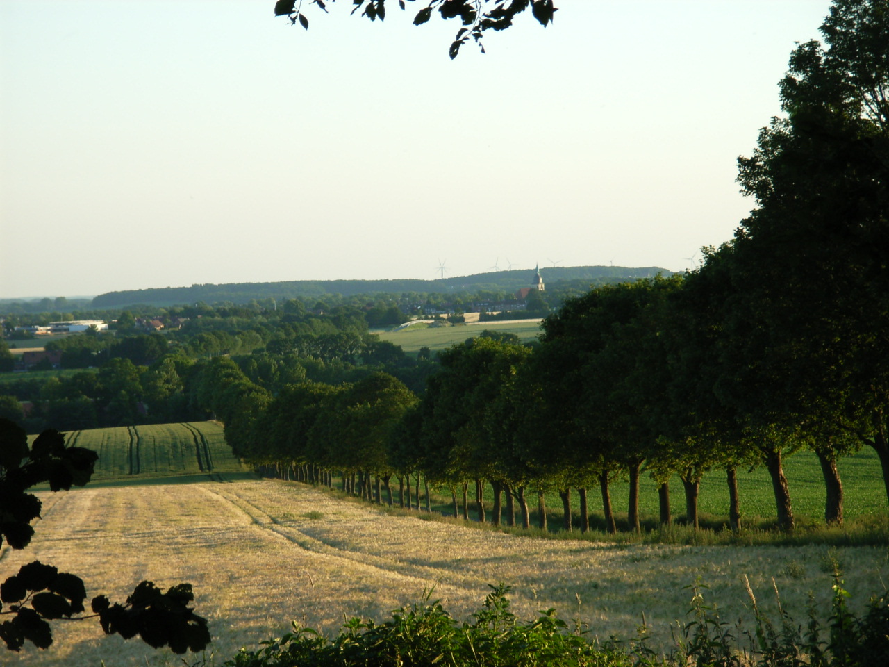 Allee in den Baumbergen mit Blick auf die Stiftskirche in Nottuln