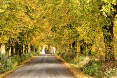 Allee in der Eifel