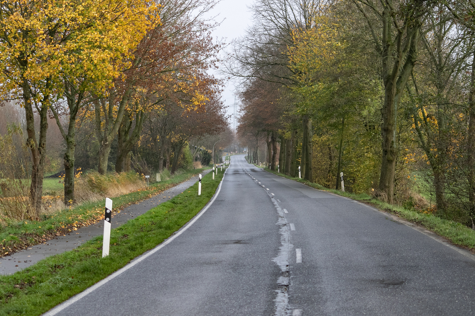 Allee in der Elbmarsch