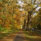 Allee in die Stadt