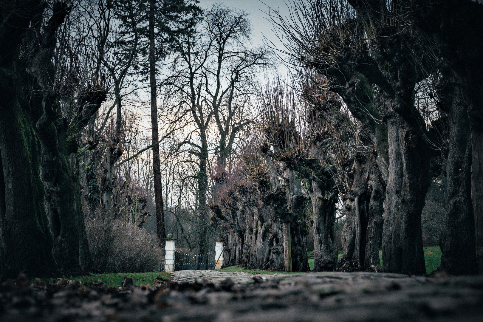 Allee in die Vergangenheit