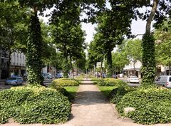 Allee in Düsseldorf