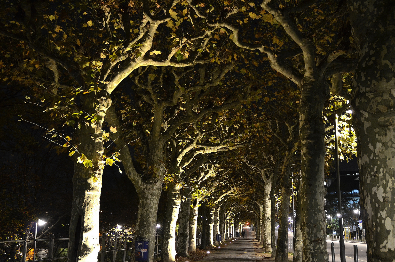 Allee in Frankfurt an der Mainpromenade spätabends