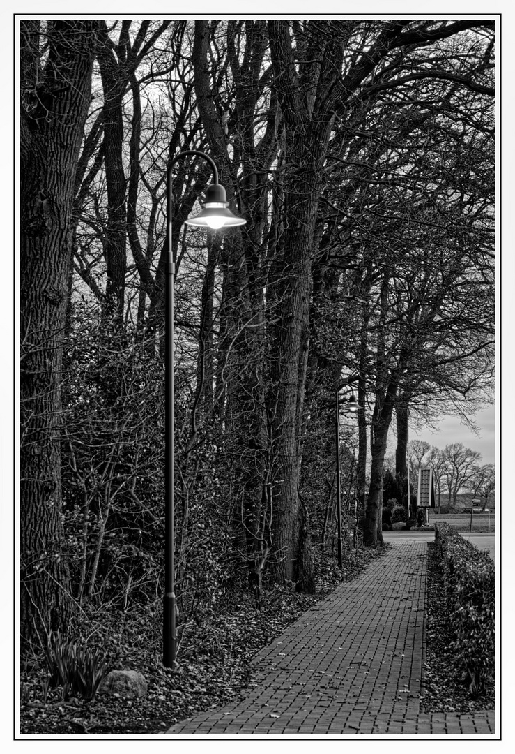 Allee in Läden in der Dämmerung