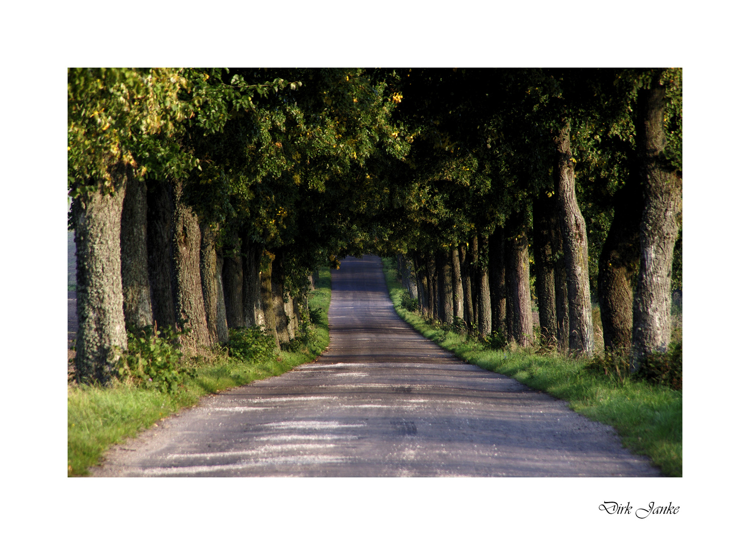 Allee in Masuren