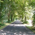 Allee in Masuren