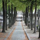 Allee in Paris