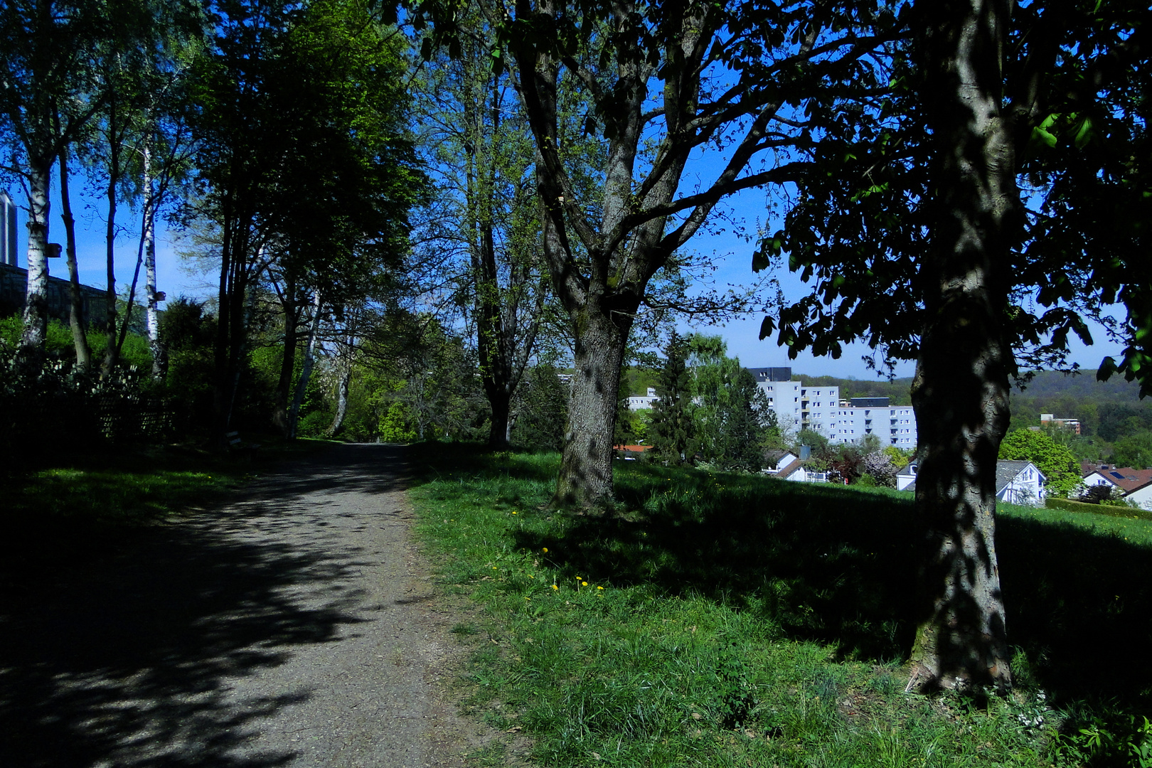 Allee in Tübingen