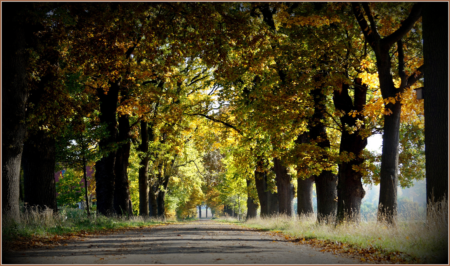 Allee  --    in Ulenburg bei Löhne...