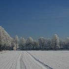 Allee in weiß Teil 2