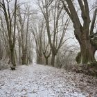 Allee mir Durchblick