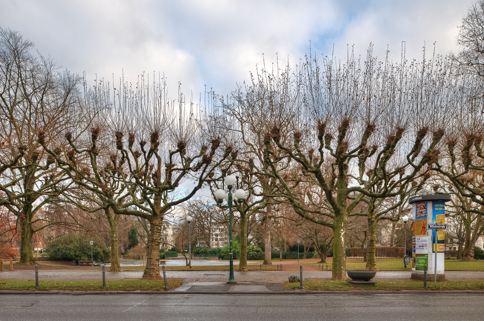 Allee mit Bäumen, Wiesbaden