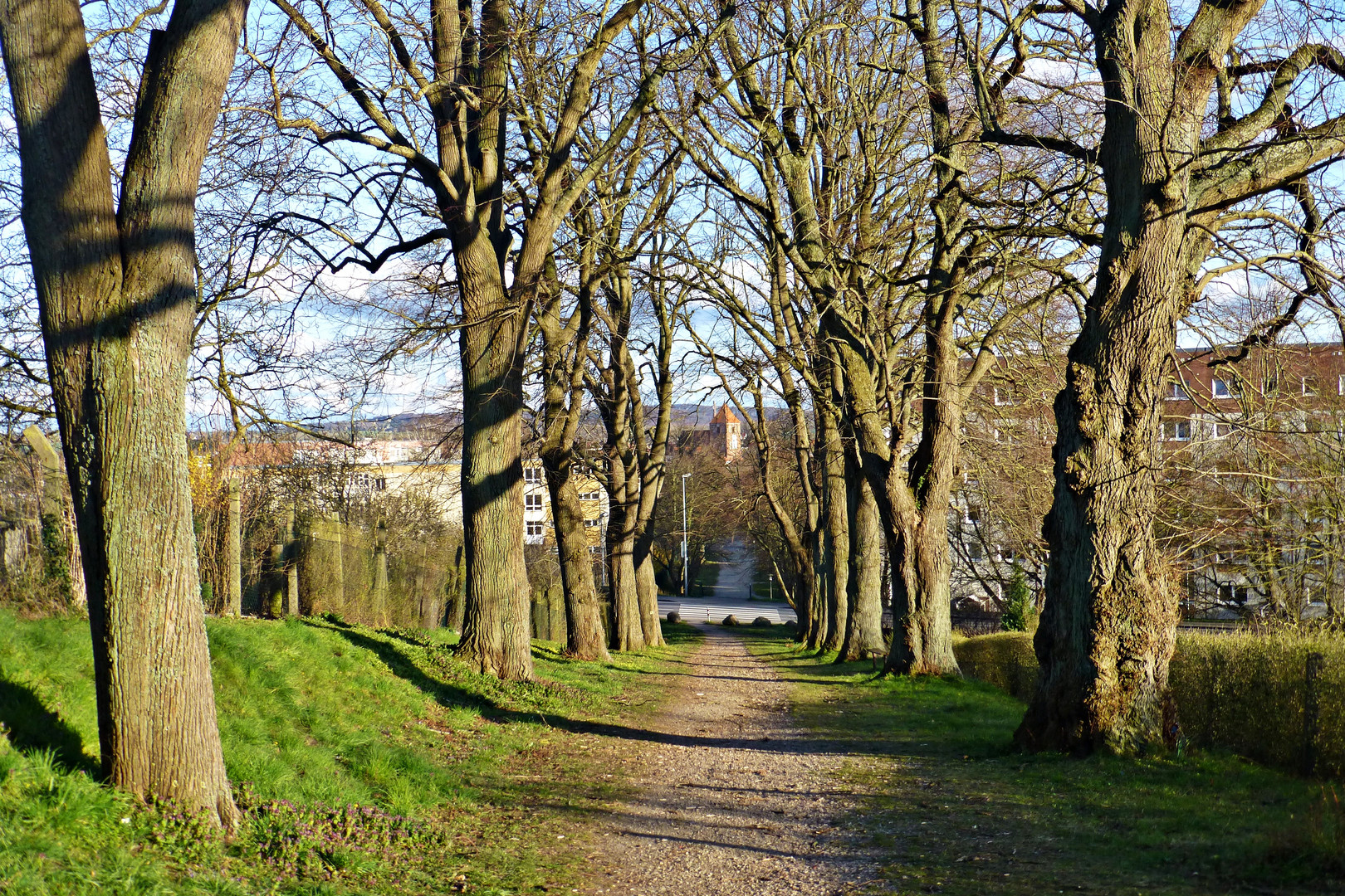 Allee mit Blick auf Kirche