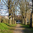 Allee mit Blick auf Kirche