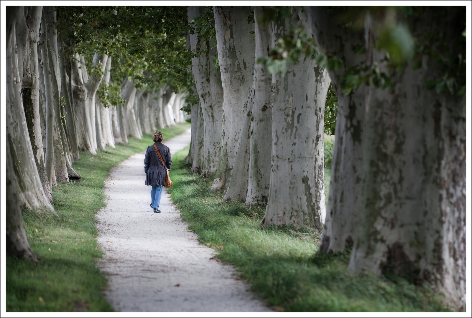 Allee mit Frau