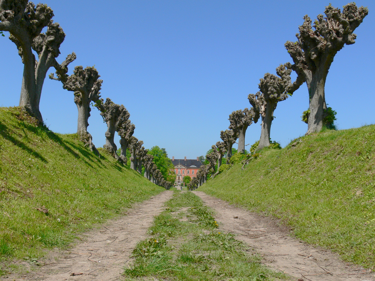 Allee mit Gutshaus