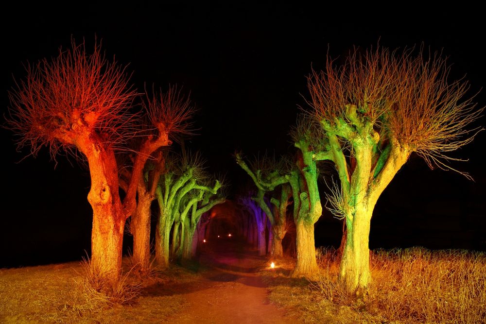 Allee mit Lightpainting