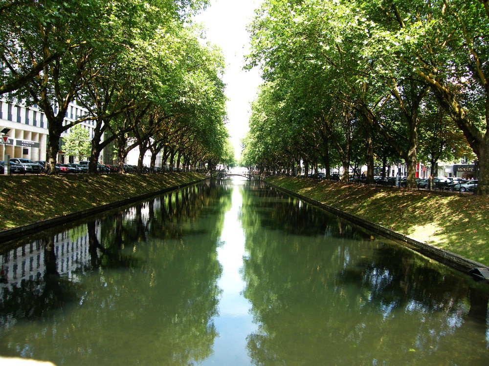 Allee mit Spiegelung und Tiefe