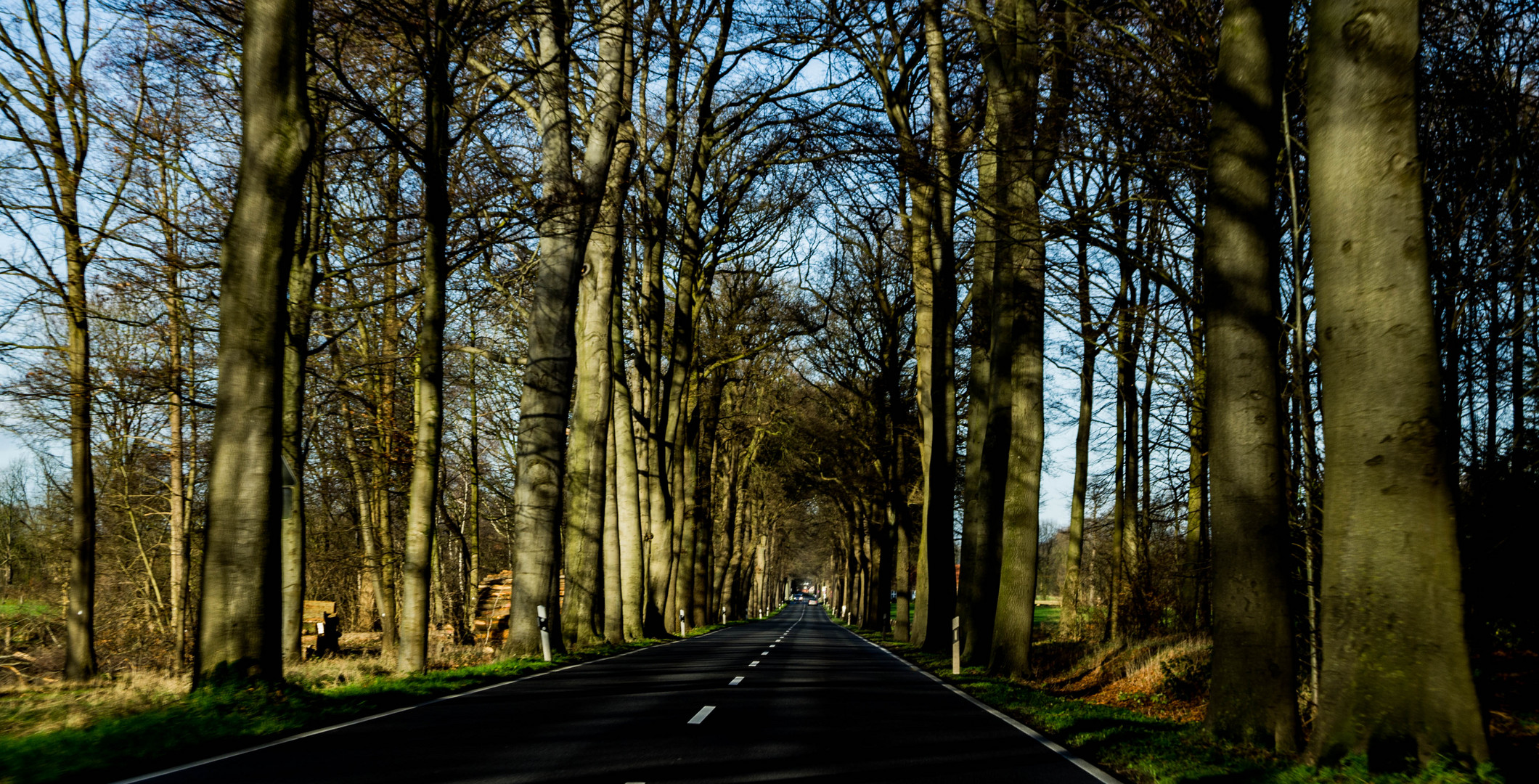 Allee nach Lembeck