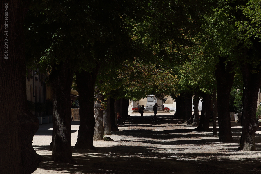 ...Allée principale de St-Antoine de l'Abbaye (Isère)...