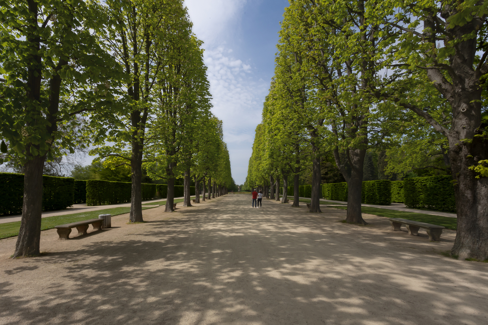 Allee Schloß Pillnitz 