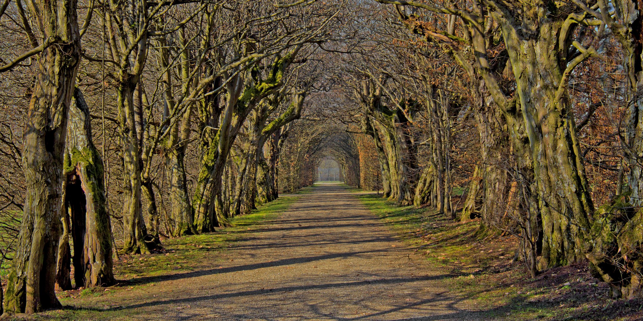 Allee Schloß Seehof