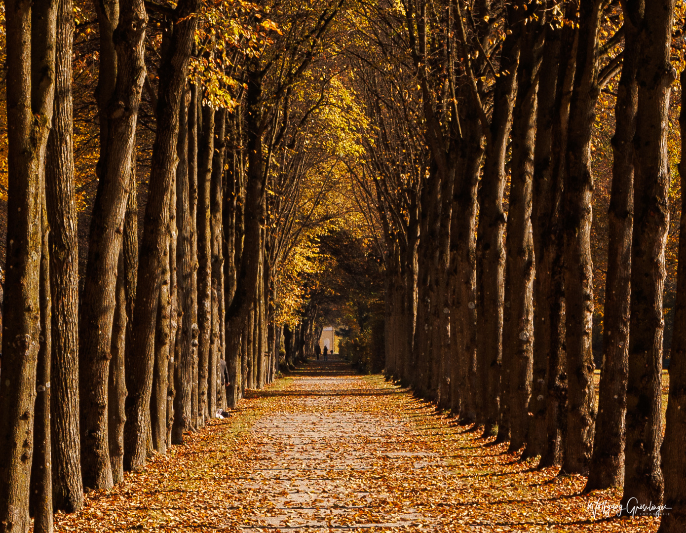 Allee soweit das Auge reicht