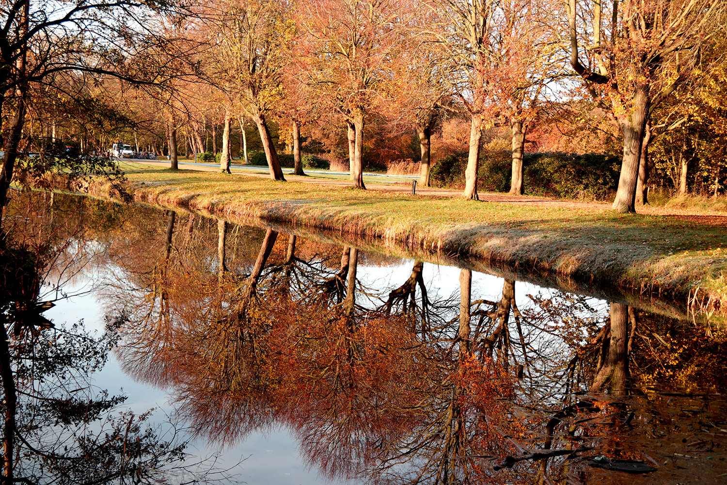 Allee und Kanal