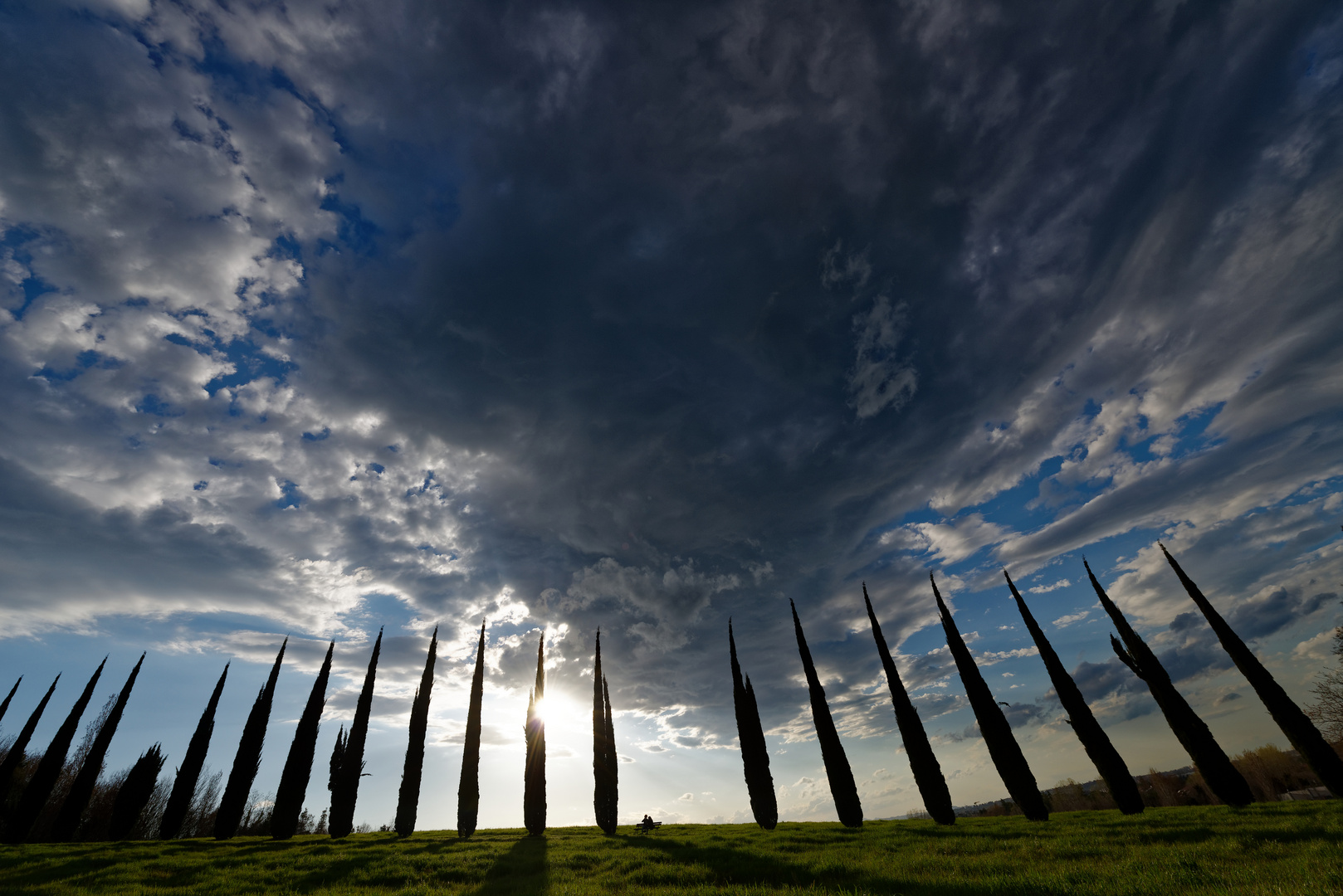 Allee unter Wolken