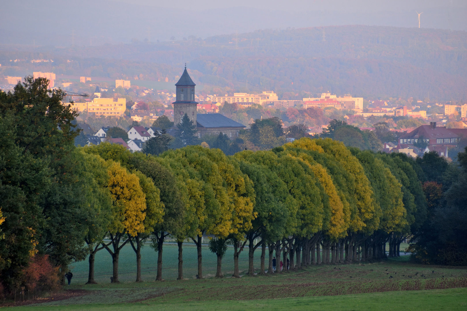 Allee vor der Stadt