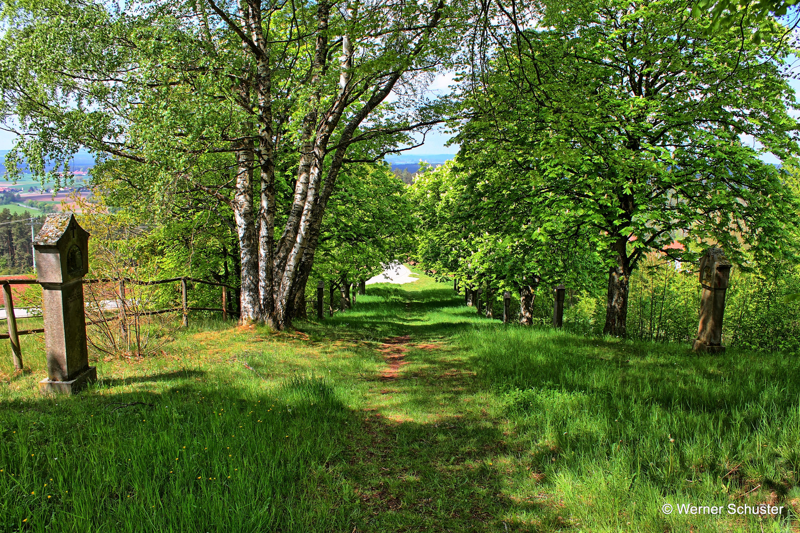 Allee zum Barbaraberg