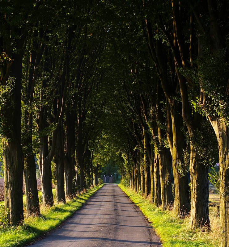 Allee zum Beutling