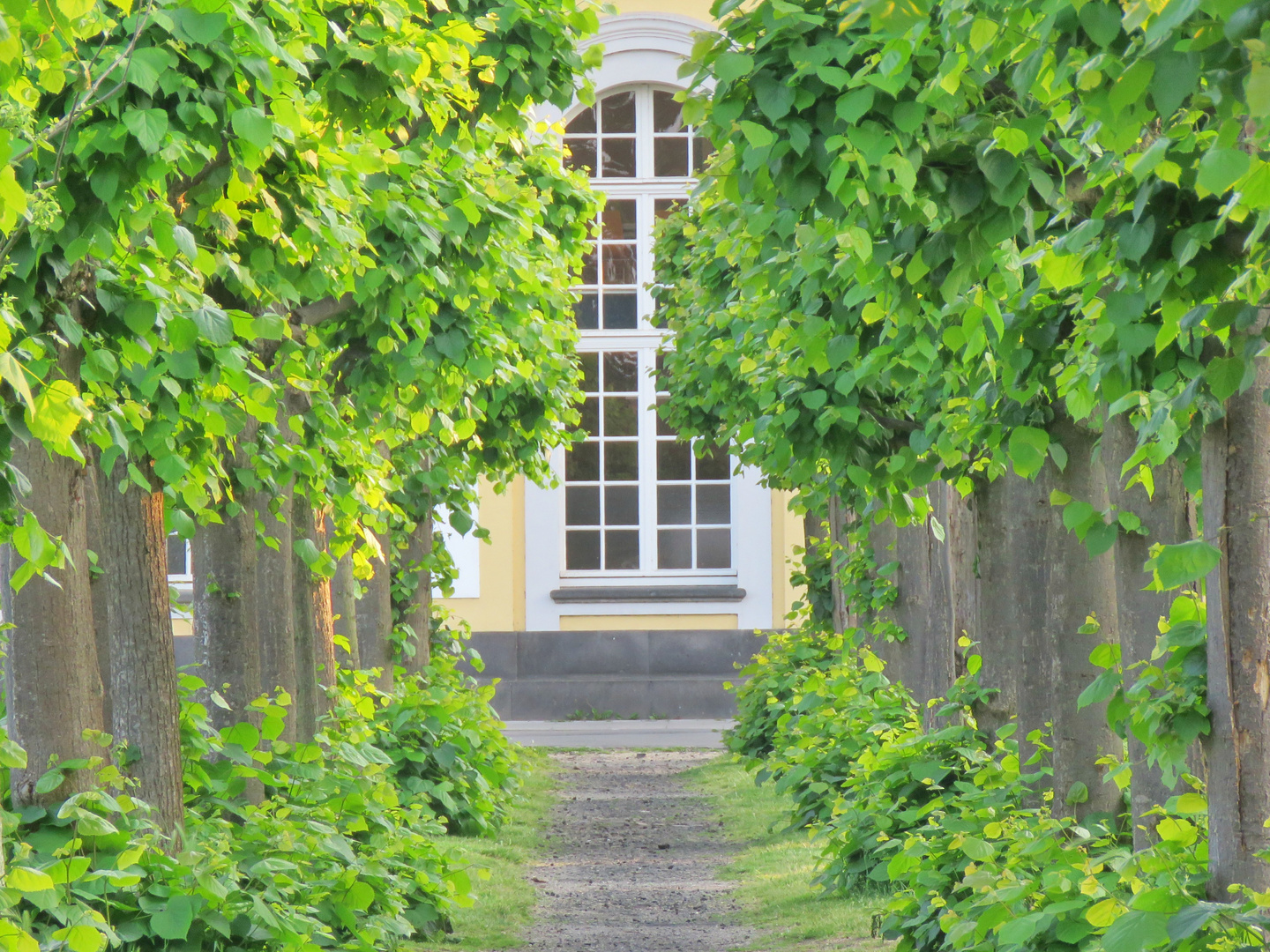 Allee zum Schlösschen