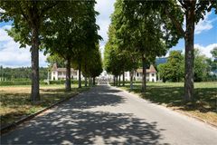 Allee zum Schloss Waldegg