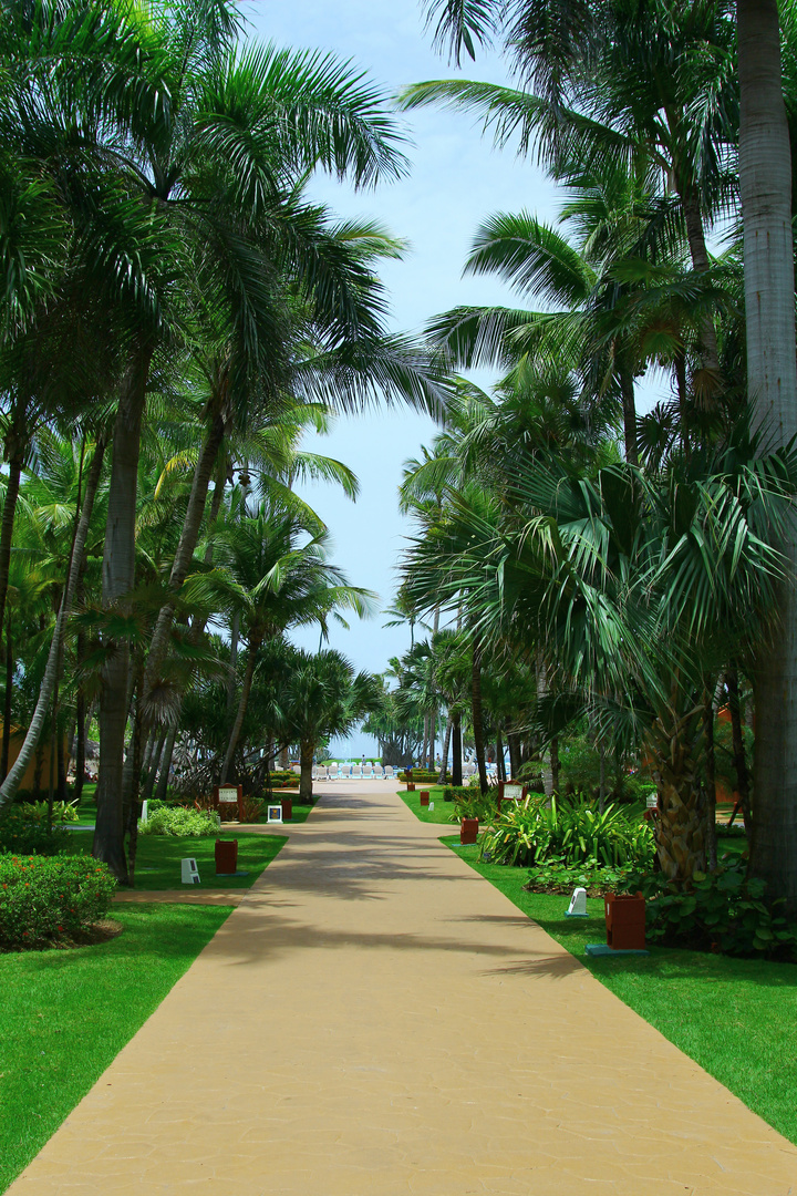 Allee zum Strand