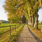 Allee zur Kapelle des Gutes Panker / Kreis Plön