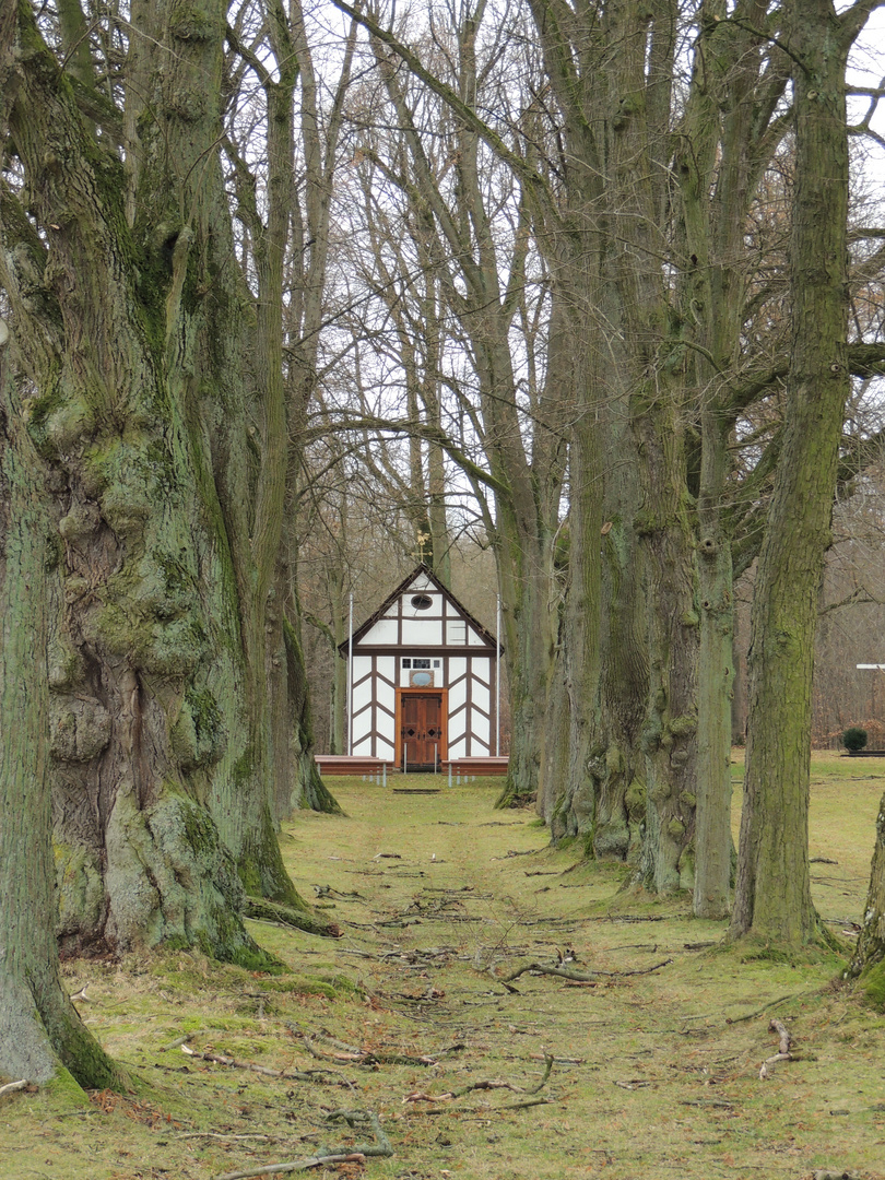 Allee zur Kapelle