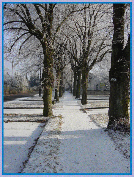 Allee zwischen Hchzoll Nord - Friedberg