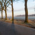 Allee_04633